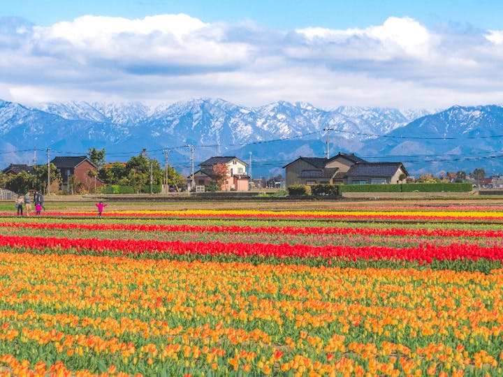 富山県