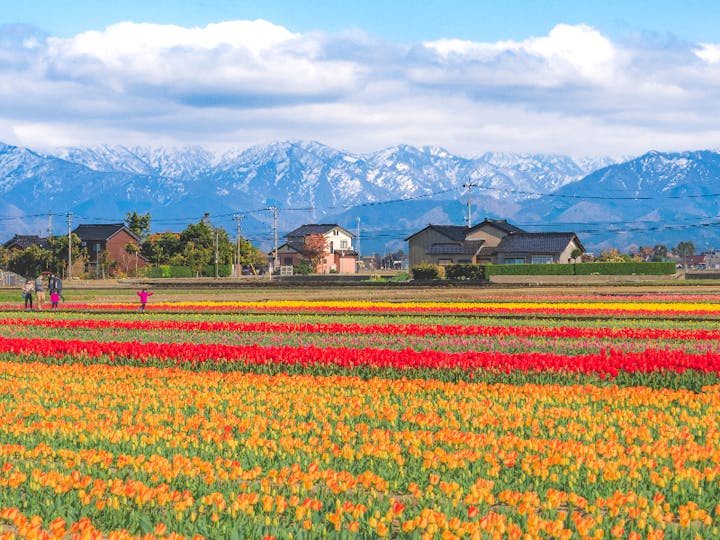 富山県