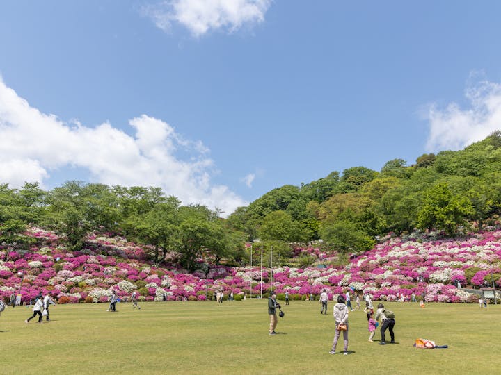 鯖江市