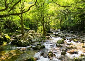 内子町