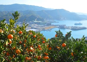 八幡浜市