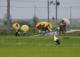 豊岡市