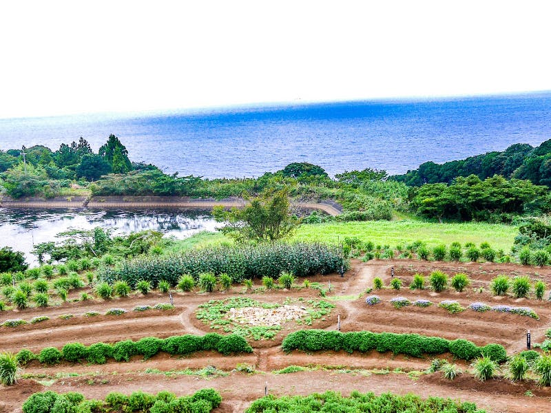 長門市「通(かよい)くじら祭り」7/16(日)開催(山口県長門市) | 移住支援と地域情報 SMOUT(スマウト)