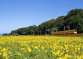 いなべ市