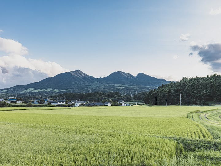 高山村