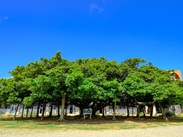 知名町