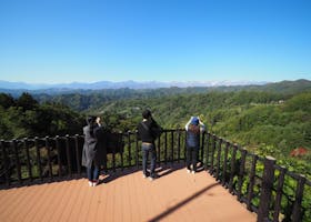 小川村