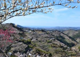 田辺市