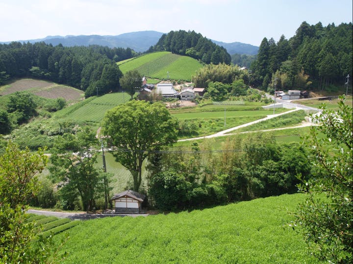 奈良市