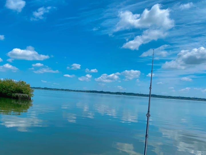 かすみがうら市