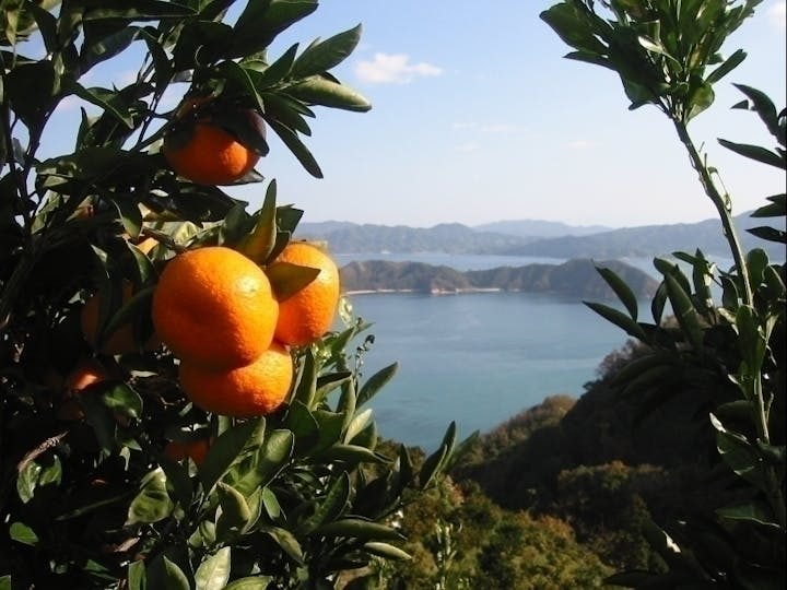 大崎上島町