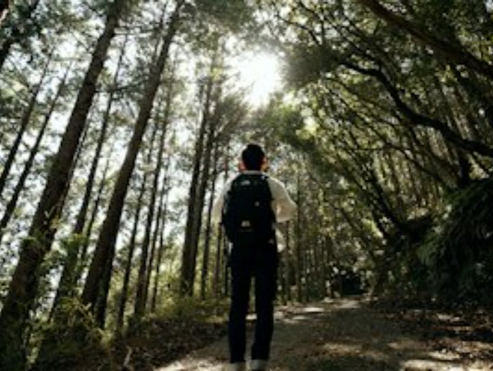 田辺市
