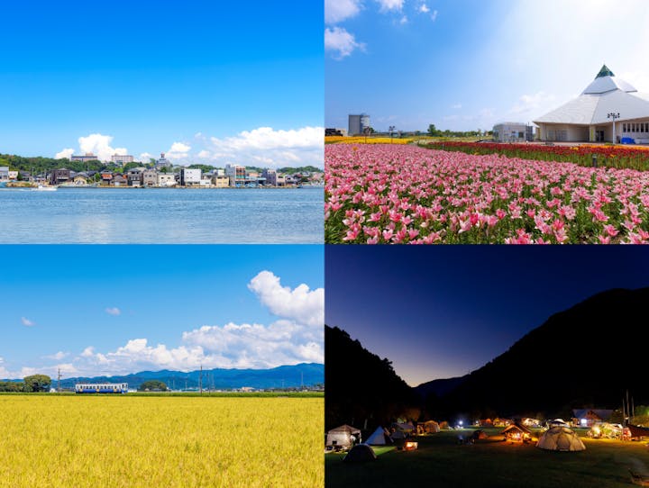 坂井市