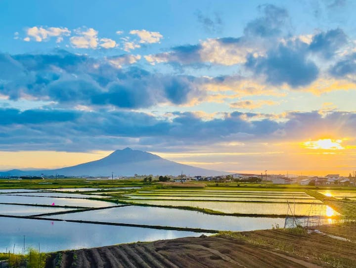 藤崎町