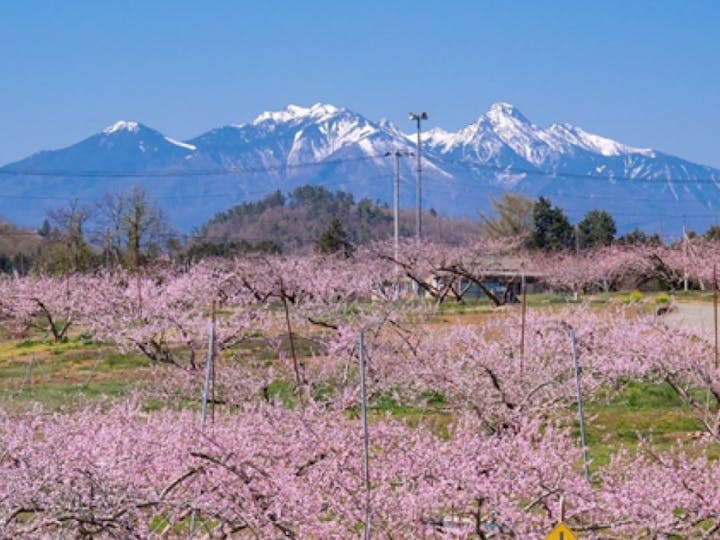 韮崎市