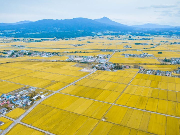 湯川村