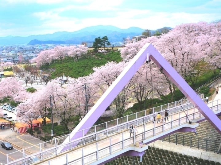 鯖江市