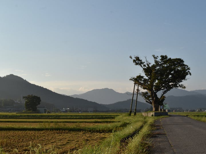 多賀町