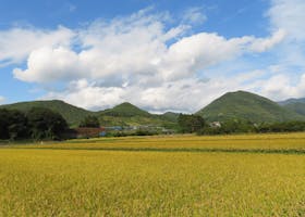 山形県