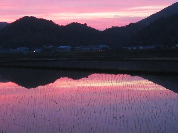 山口県