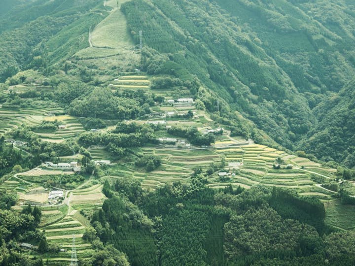 椎葉村