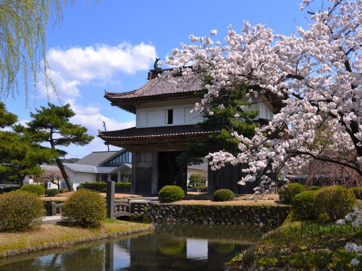 酒田市