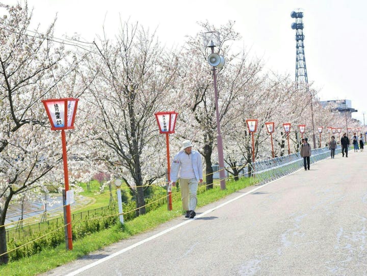 燕市