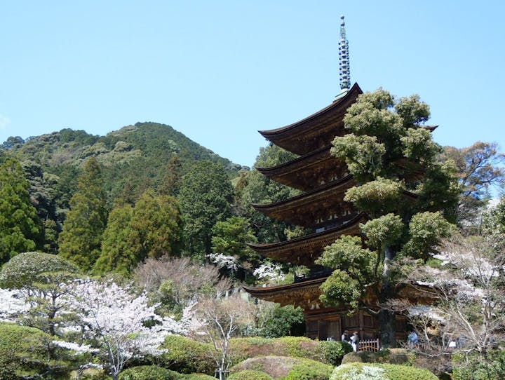 山口市