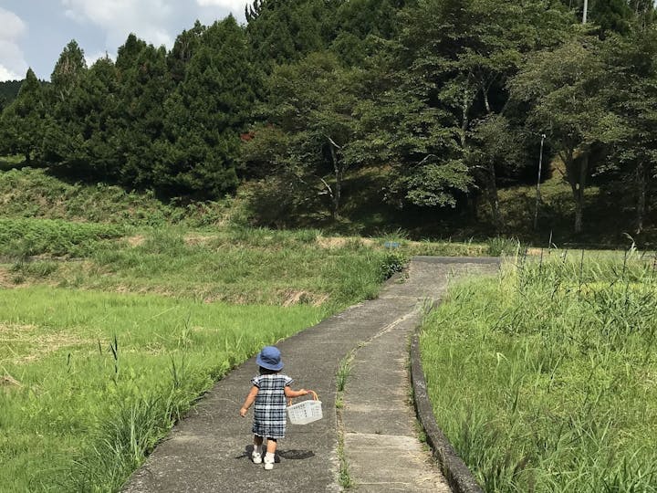 高野町
