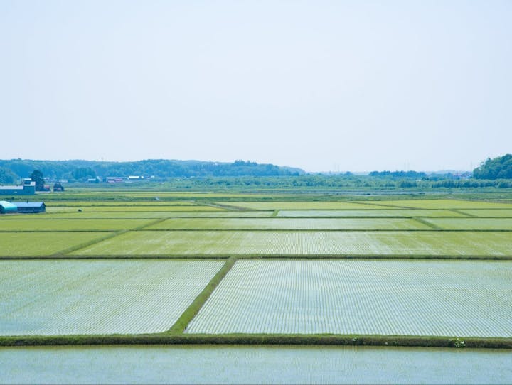厚真町