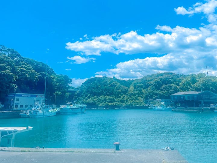 東洋町