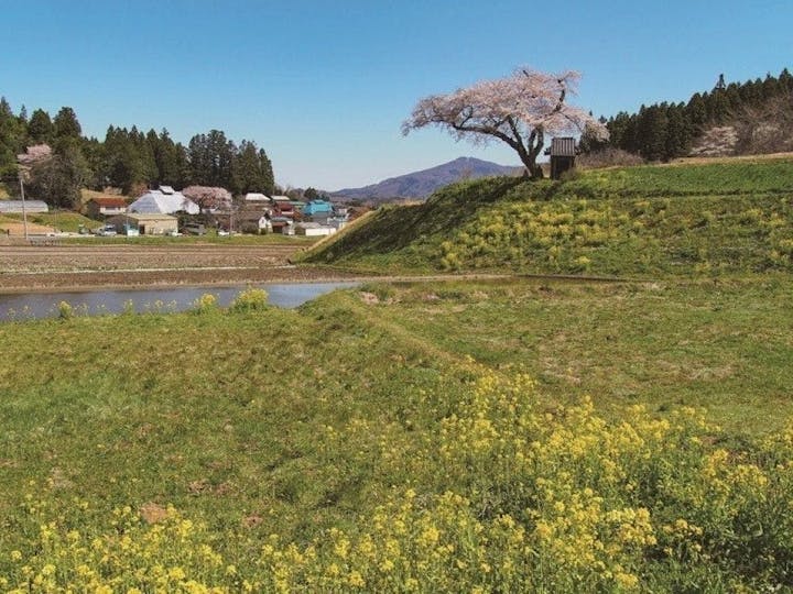 田村市