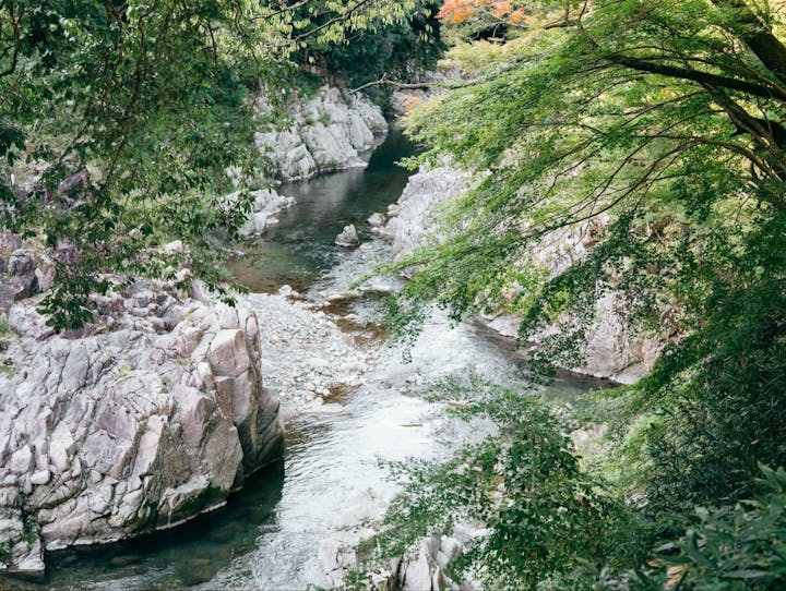 多賀町