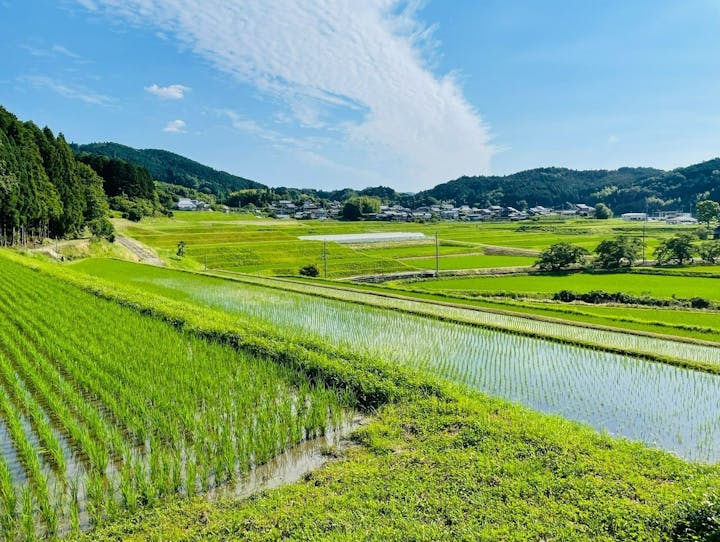 奈良市