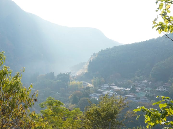 川上村