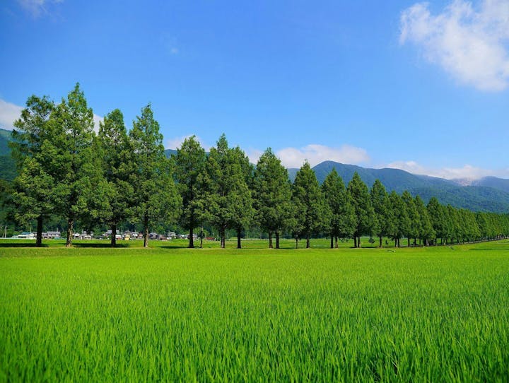 高島市