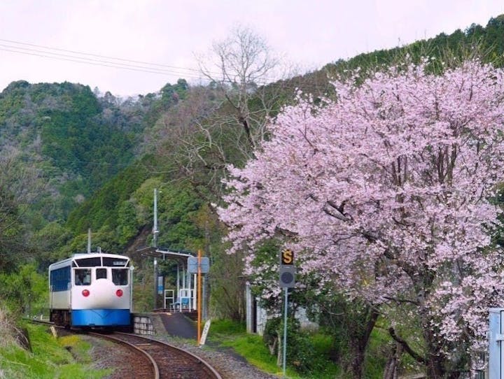 松野町