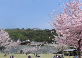 愛媛県