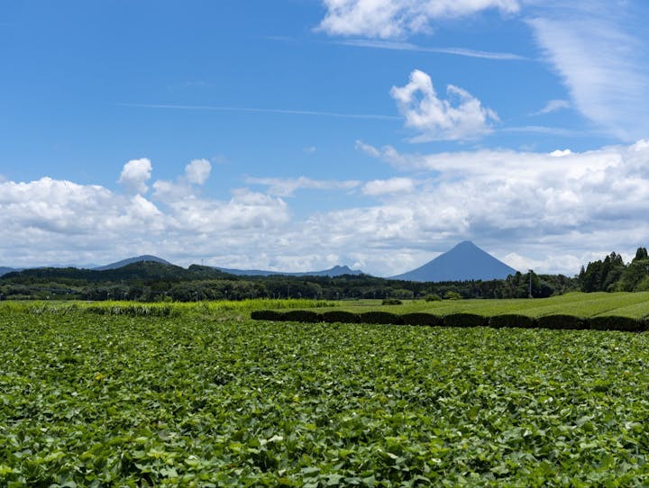 鹿児島県