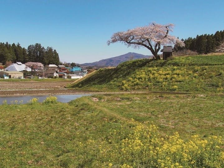 田村市
