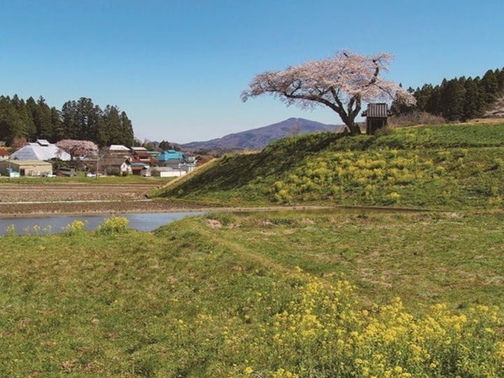 田村市