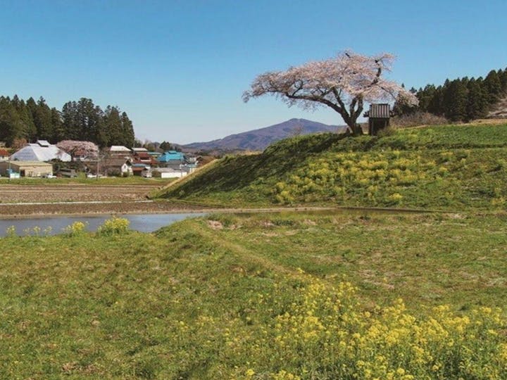 田村市