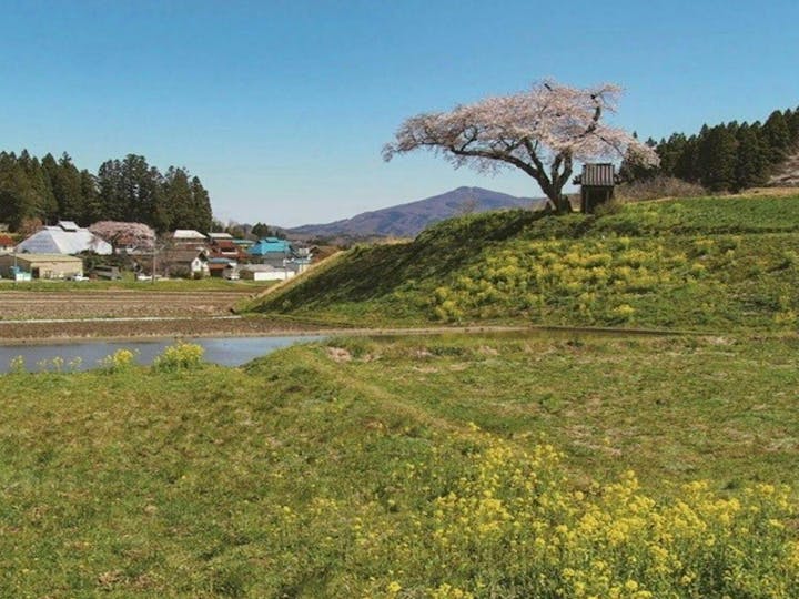 田村市