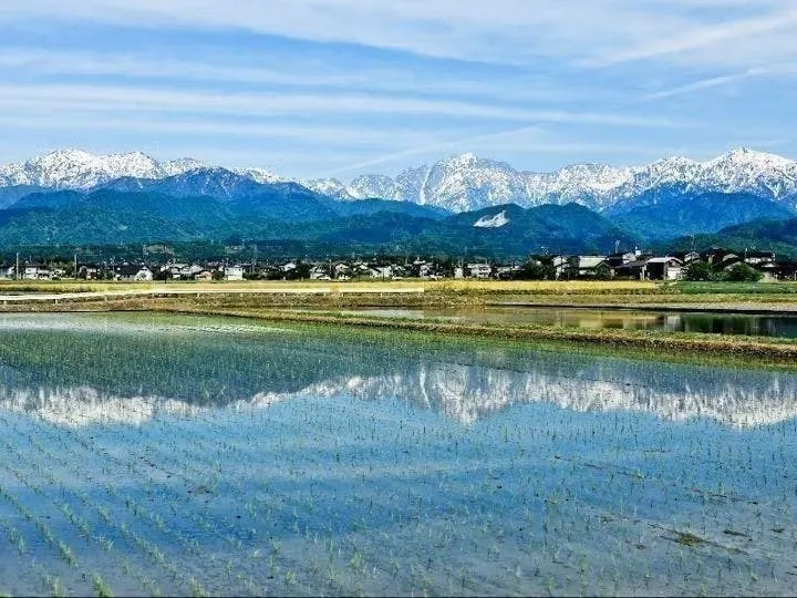 上市町