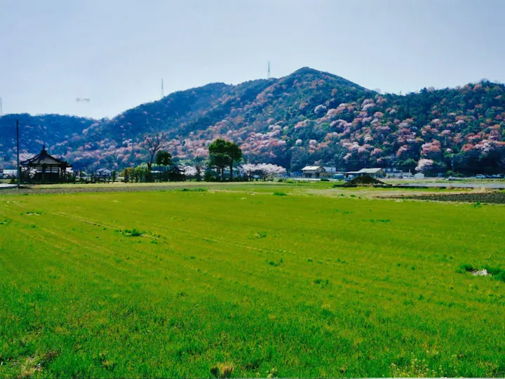 姫路市