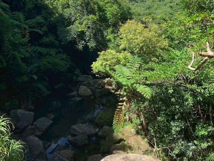 石垣市