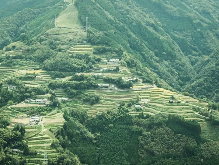 椎葉村