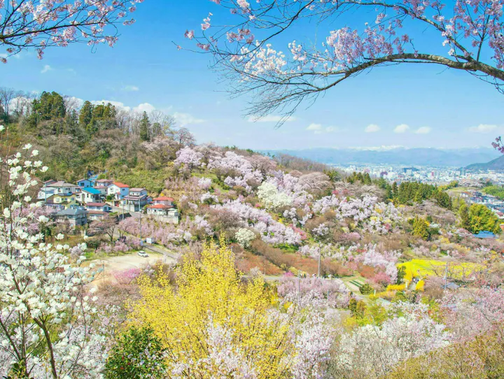 福島市