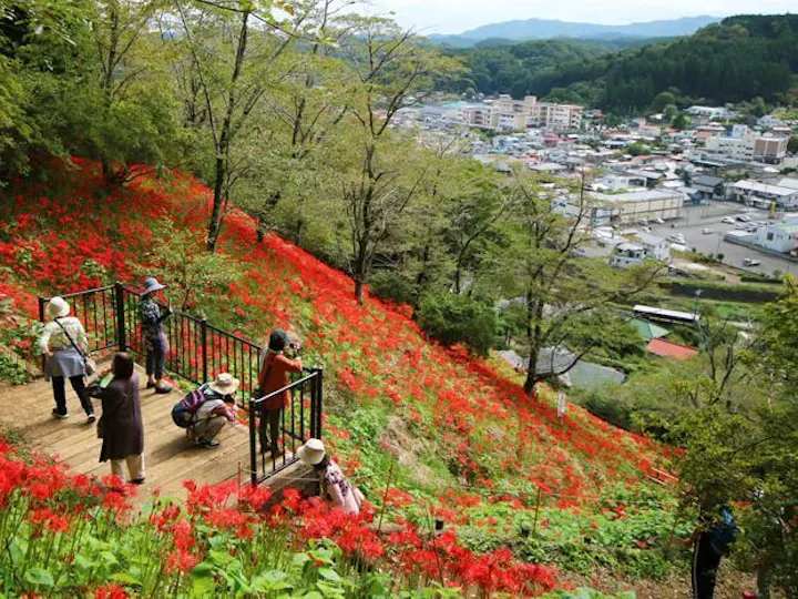 茂木町