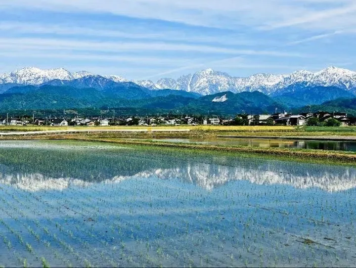 上市町